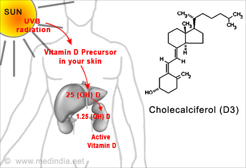 Vitamin D Synthesis