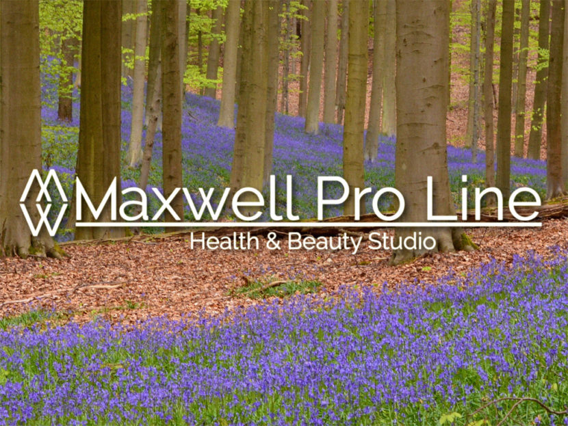 Maxwell Pro Line Spring Feature Services